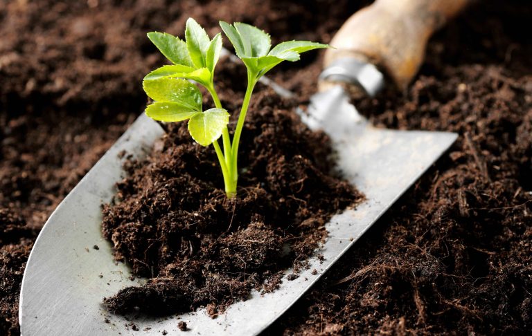 Advantages of organic fertilizer
